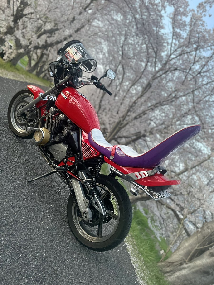 zephy___18's tweet photo. 仕事終わって日暮れるまえにダッシュで桜と📸 https://t.co/Wwx0FRtfo2