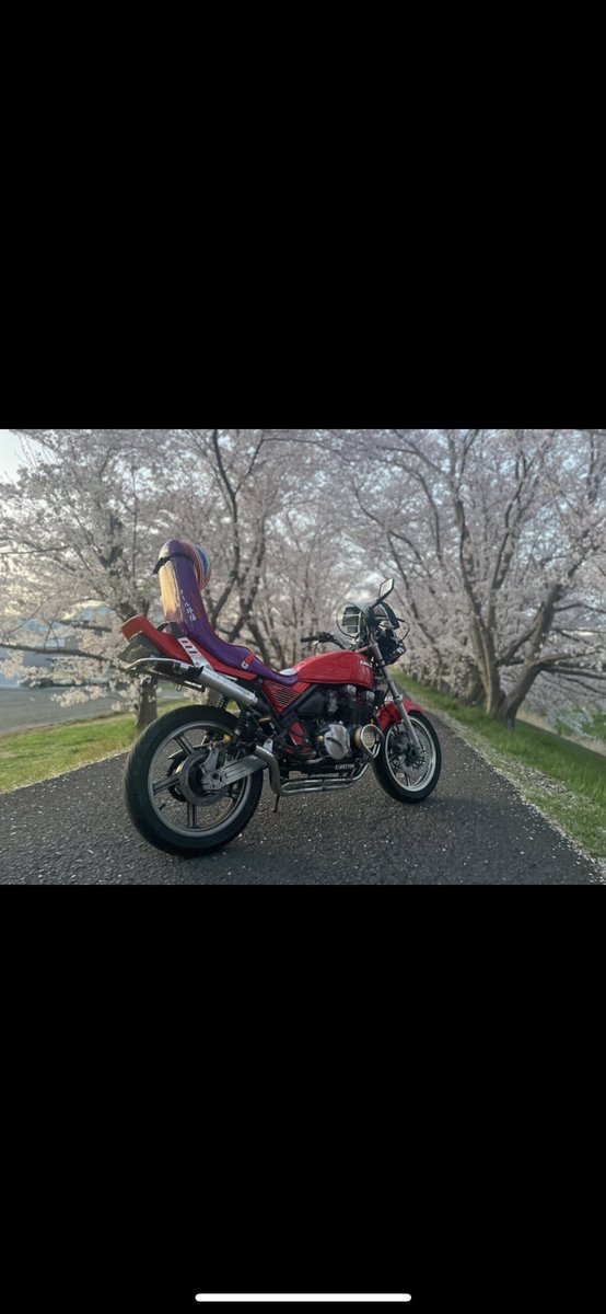 zephy___18's tweet photo. 仕事終わって日暮れるまえにダッシュで桜と📸 https://t.co/Wwx0FRtfo2