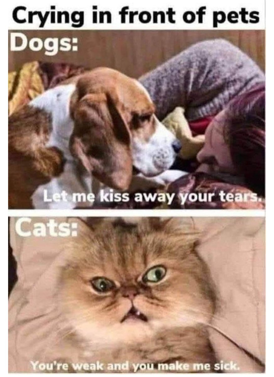 TheeThistle's tweet photo. It's funny cause it's true https://t.co/MCwdK0yPo5