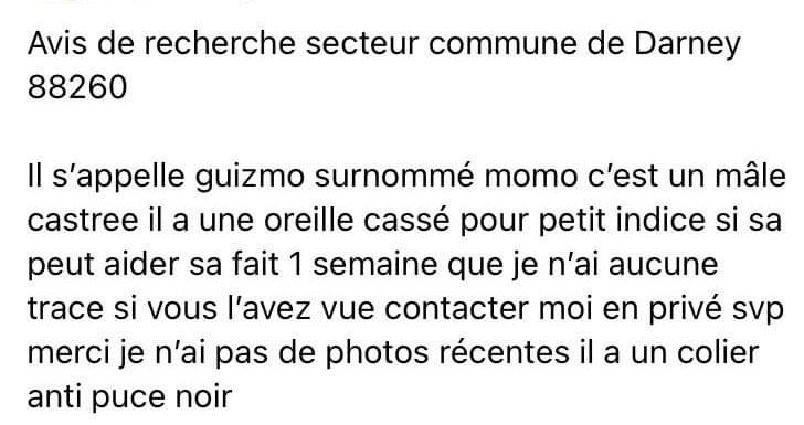 KaoucheZ's tweet photo. Partagez s'il vous plaît le plus possible merci d'avance https://t.co/Fd2kLgI1mz