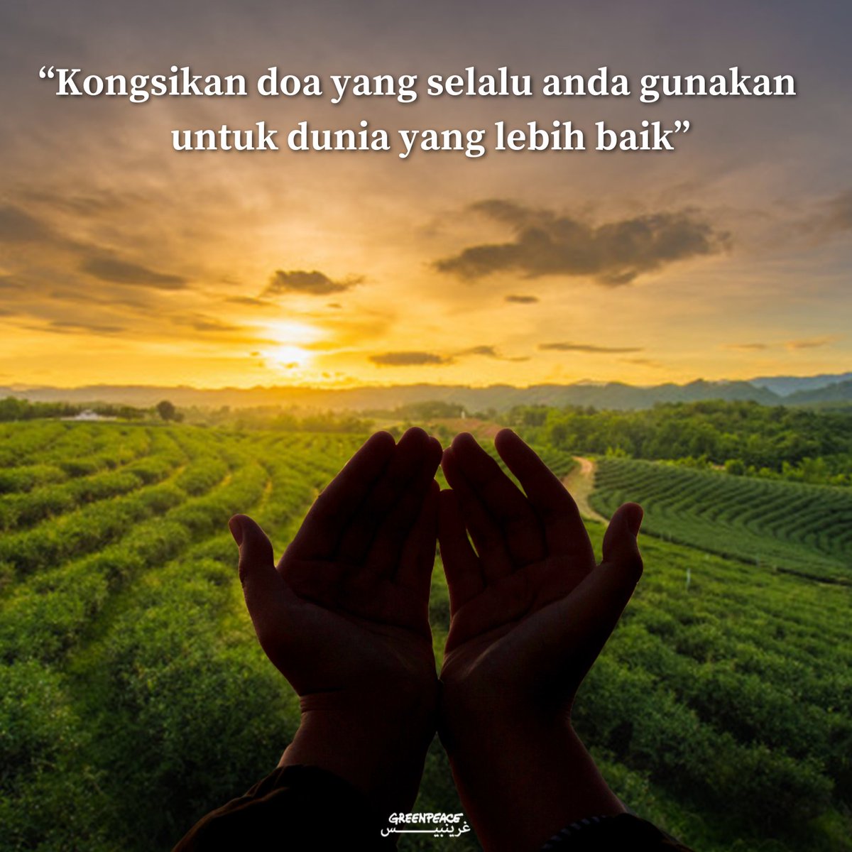 GreenpeaceMY's tweet photo. Kongsikan disini doa yang anda selalu gunakan untuk mendoakan kearah dunia yang lebih baik.
**
Share with us your doa for a better world.
#Ramadan2022 #BetterNormal #ummah4earth #ummah4earthmy https://t.co/xTkU2hhx54