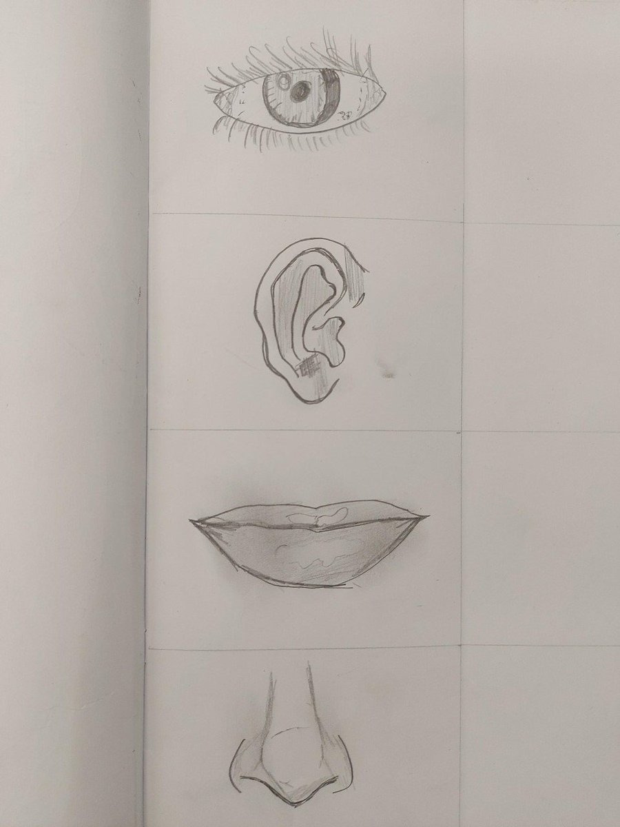 SSA_ADT's tweet photo. 8X2 have produced some really good drawings of facial features. https://t.co/b6WKjvuvcL