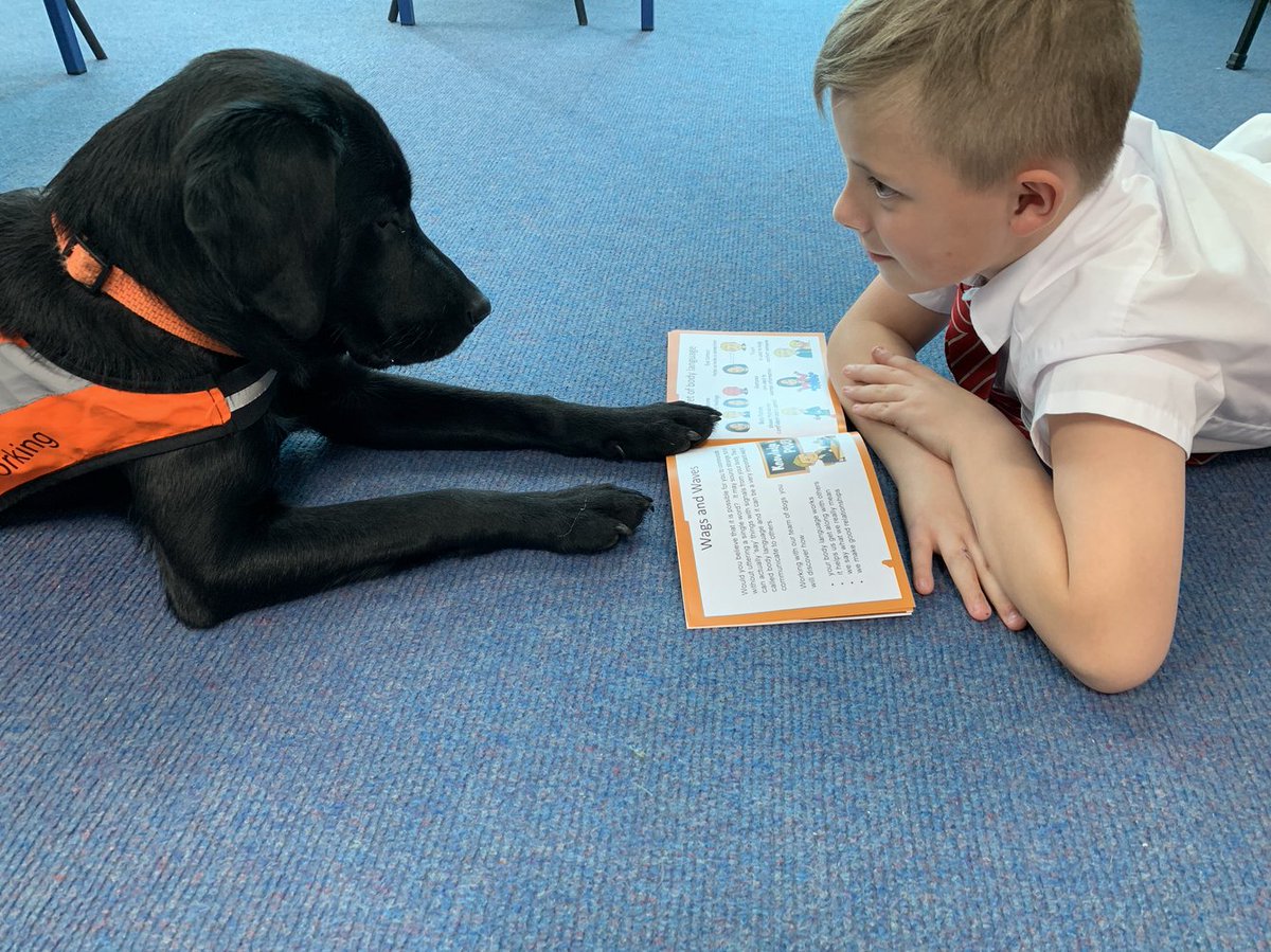 NManhattanUK's tweet photo. Our guest speaker at the fourth of our free monthly Zoom meetings is Jenny Duckworth the founder of The Dog Mentor Programme. Hear how she has built upon the benefits of the human-animal bond by providing children positive experiences with dogs.👇
https://t.co/U0vyzN2h6R https://t.co/AMSZThvuz3
