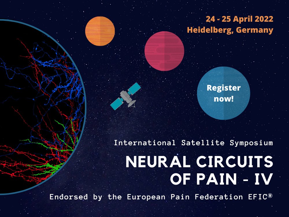 sfb1158's tweet photo. Deadline is tomorrow! Register now for the International Satellite Symposium, "Neural Circuits of Pain - IV", from 24-25 April 2022 in Heidelberg, Germany!

For more info: https://t.co/FVGdZHQKhA

#pain #research #heidelberg #chronicpain #neuralcircuits #youngscientists https://t.co/luzLlSpRly