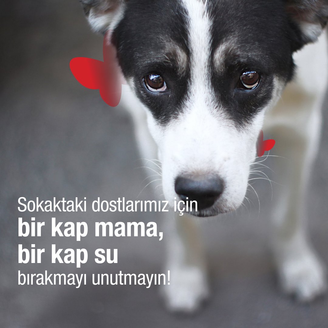 Kelebek Mobilya tweet media