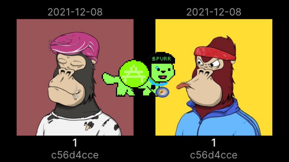 CatKinsonCoin's tweet photo. Wen 🍄?
Wen 🌝?
Wen 🚘 ?
Wen 🦧 & 🐱?
Wen Chill & $PURR?
Wen @ChilledKongs & @CatKinsonCoin ???
Our 2 #ChilledKongs are chilling in our wallet 🦧🚀🐱🌝
#catkinson #ChilledKongs #CNFT #SnoopDog https://t.co/1fe1DHNPu5