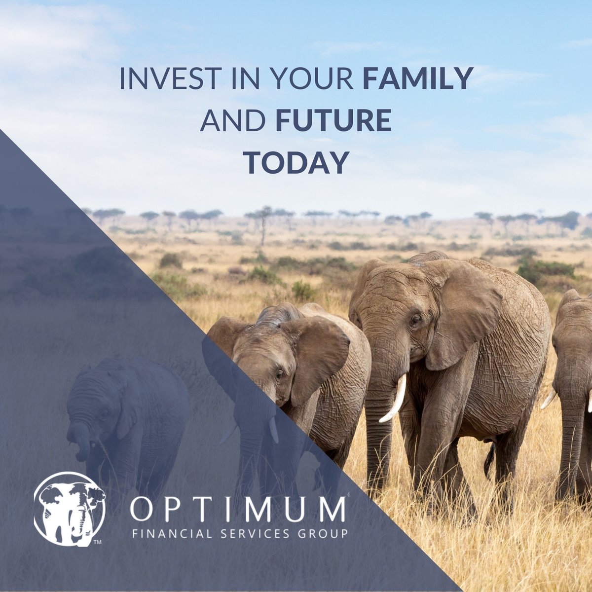Investing in your future for your family is a long-term strategy. 
Start today. 
start@optimumgroup.co.za
https://t.co/h319V0GicW
#Optimum #finance #financialservices #investments #investing https://t.co/Wt1vfXDVmS