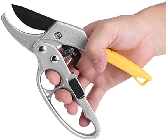 ChanuSandaru's tweet photo. Garden Pruning Shears Cutter: https://t.co/aVC5Ir2wjU https://t.co/XFLI4QO9hR