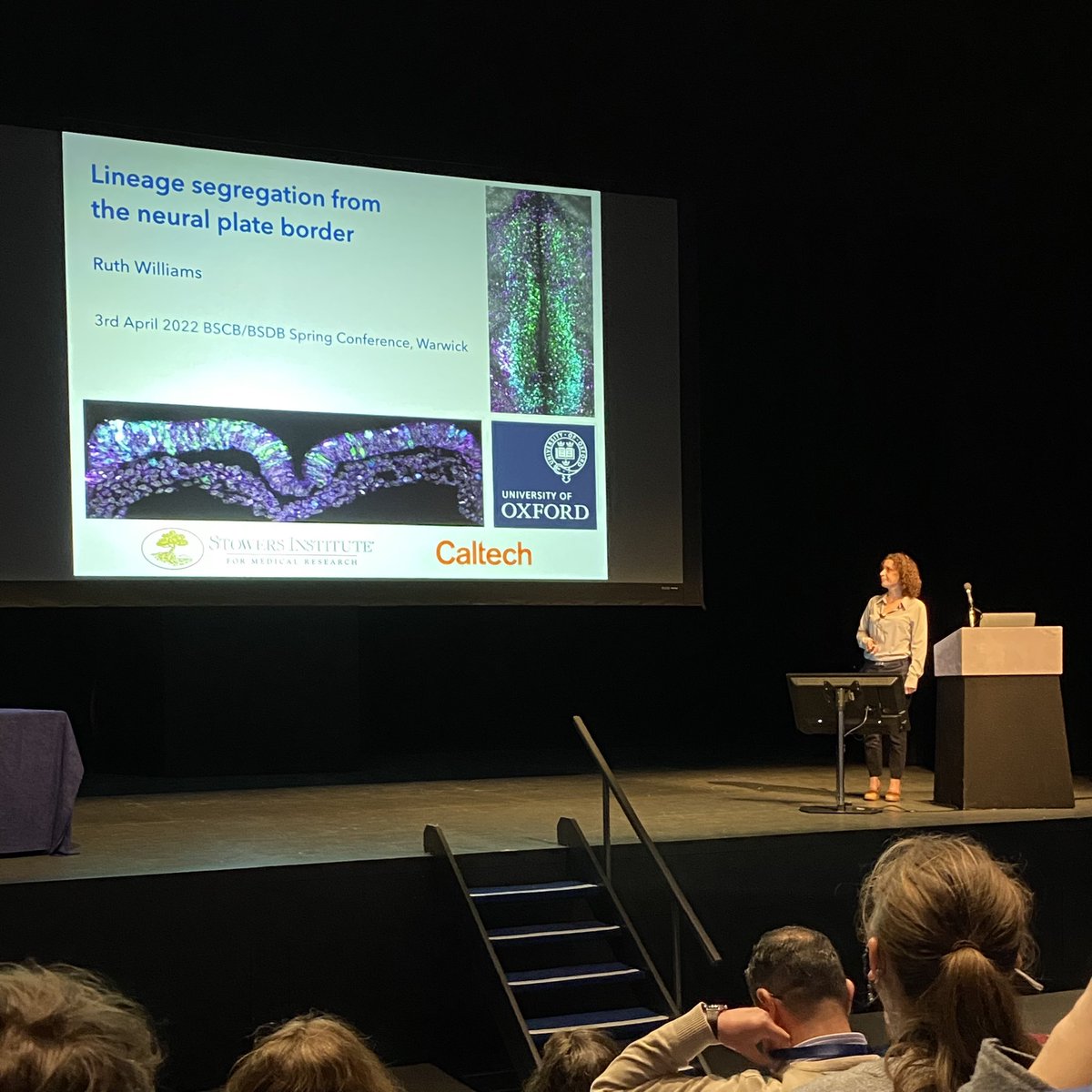 Güneş Taylor (@gunestaylor) on Twitter photo Always a pleasure to hear @RuthWilliamsOx talk about beautiful data & beautiful embryos. <a href="/TSS_Lab/">Sauka-Spengler Lab</a> <a href="/ScienceStowers/">Stowers Institute</a> <a href="/Caltech/">Caltech</a> <a href="/BronnerLab/">Bronner Lab</a> Always a pleasure to hear @RuthWilliamsOx talk about beautiful data & beautiful embryos. <a href="/TSS_Lab/">Sauka-Spengler Lab</a> <a href="/ScienceStowers/">Stowers Institute</a> <a href="/Caltech/">Caltech</a> <a href="/BronnerLab/">Bronner Lab</a>