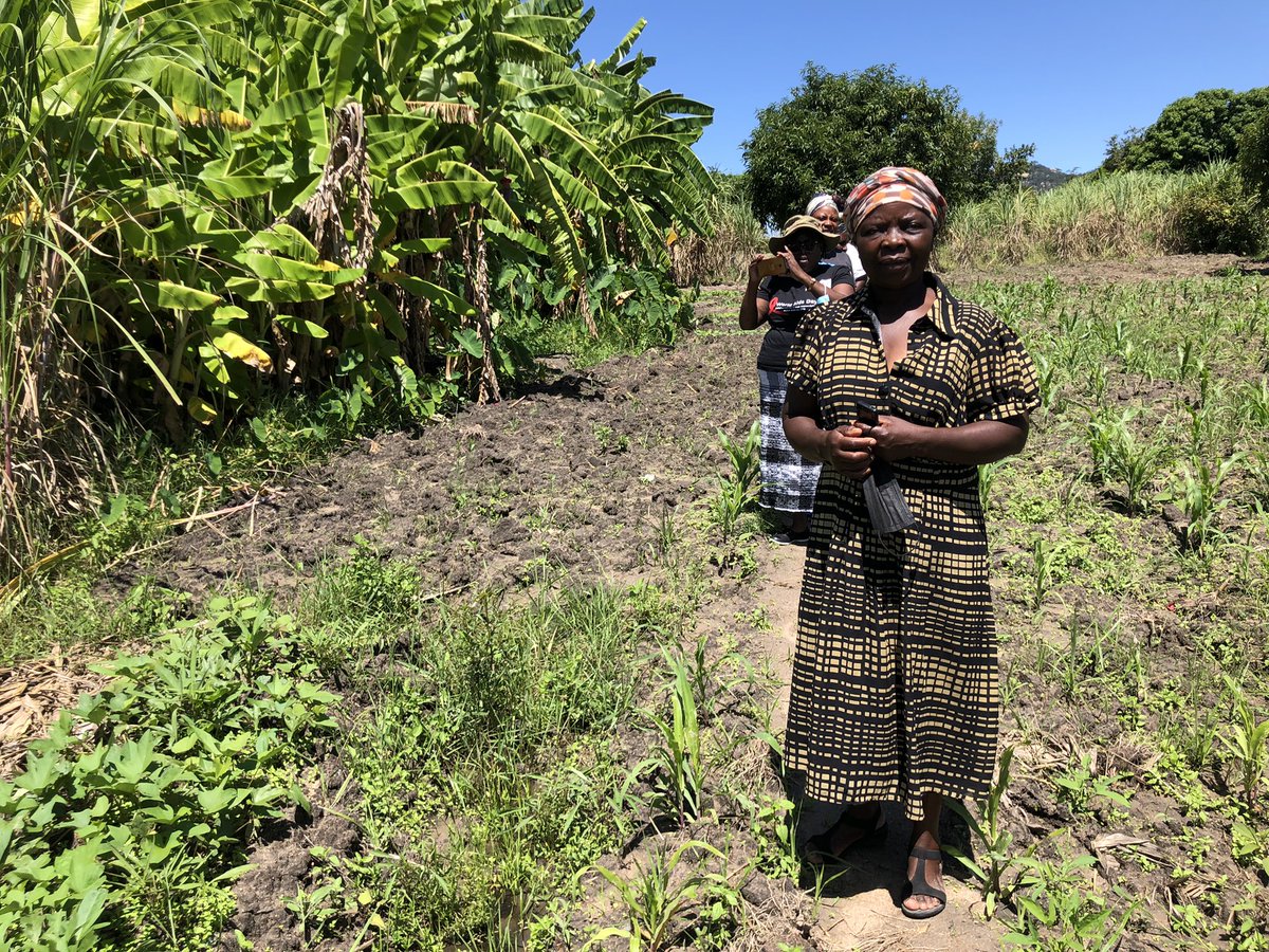 DorothyMavhiri's tweet photo. Met Maud in Marange Murehwa area last week. She is working towards household #foodandnutrionsecurity Program impact goes beyond organisational efforts. #PlanInt garden fence #Tearfund ISALS #diversifieddiets @CelinaHatidani @saulmushukujnr @AgritexS @ndakaripa @LesleyMacheka https://t.co/77IgM6JTRU