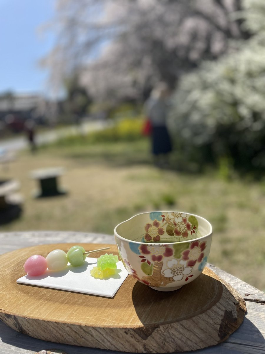 s_catlady's tweet photo. お花見してきました。
神原の枝垂れ桜🌸
キレイ✨でした。 https://t.co/bga6wGVkoo