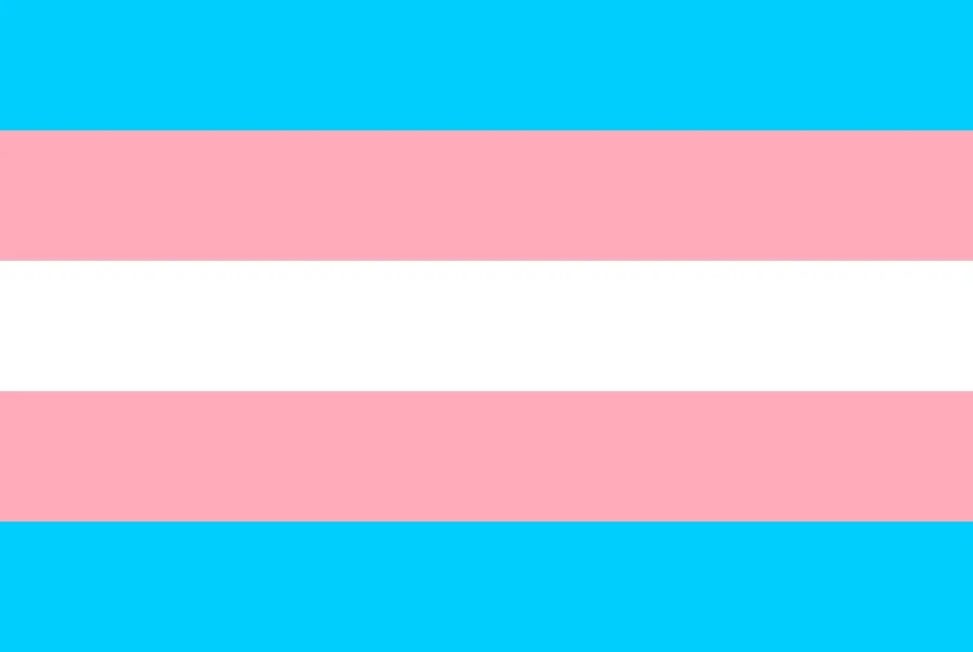 horroristrans's tweet photo. Mima Kirigoe from Perfect Blue (1997) is Trans and uses They/She/Fae pronouns! (headcanon) https://t.co/bl9cakNLIU