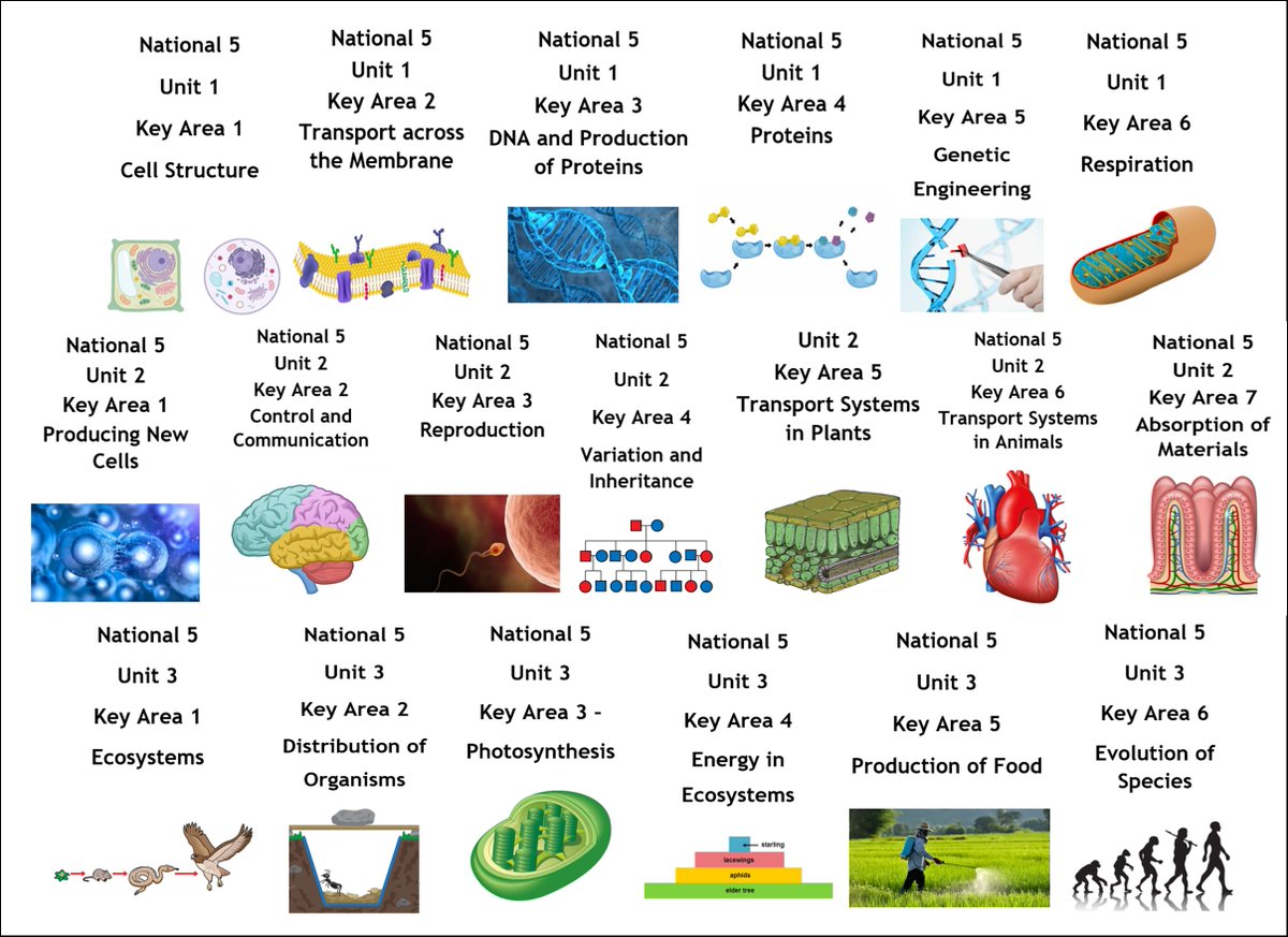 National 5 Biology key area specific past paper booklets (with answers) all updated and available on the OneDrive link below to download:

1drv.ms/u/s!Amw7OaP3Qa…

Please mention on Twitter if you end up using them.

Thanks😀