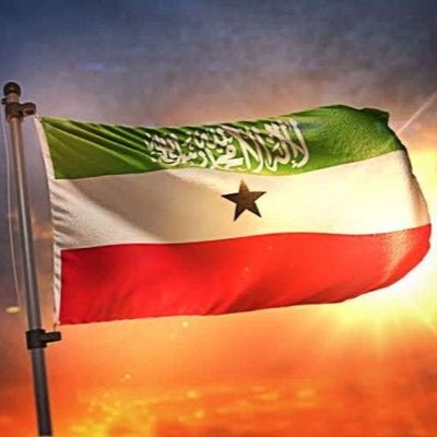 Asad1077's tweet photo. #NewProfilePic https://t.co/bbEEo8lG5F