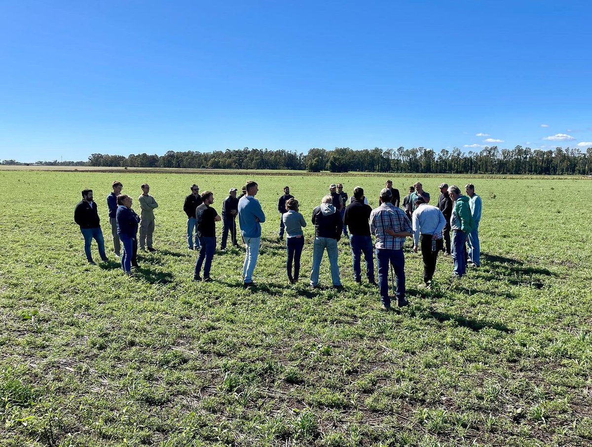 soilcapfarming's tweet photo. A productive week in #Argentina where we work with farmers to foster adoption of #RegenAg practices in challenging contexts! https://t.co/Qhqyd6t0u1