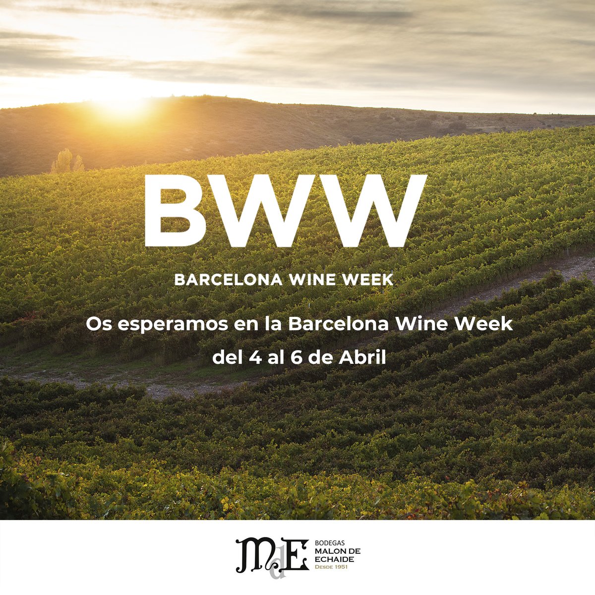 Os esperamos en la Barcelona Wine Week  los días 4, 5 y 6 de abril. Nos encanta aprender y explorar las tendencias del mundo del vino, así como compartir nuestra experiencia con compañeros y amigos. ¡Pásate a vernos!

→ malondeechaide.com
#barcelonawineweek #bcnwineweek