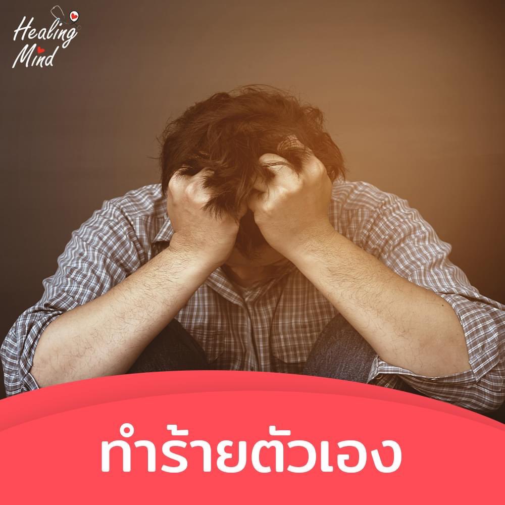 Healing Mind tweet media