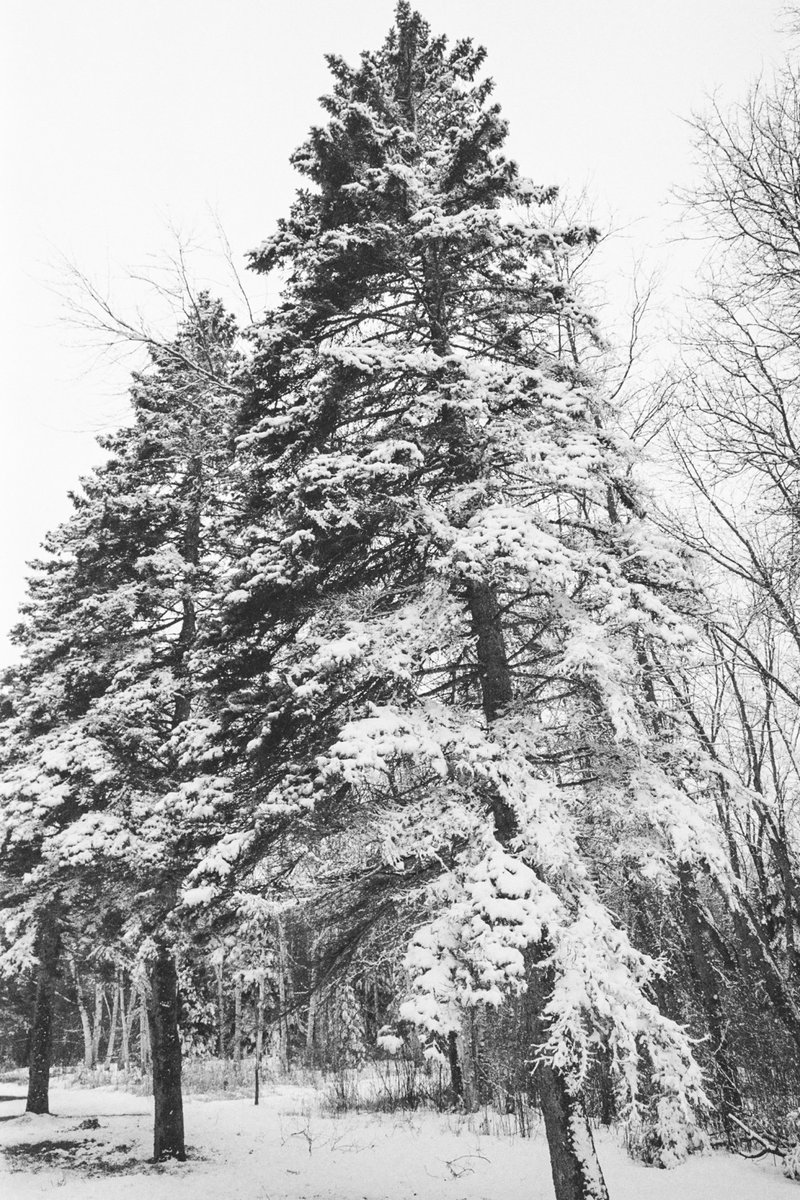 rhrwes's tweet photo. Spring break involved more snow than sun this year, but the Lake Superior region continues to be amazing. #filmphotography #ilfordphoto https://t.co/1iPvuX2NJZ