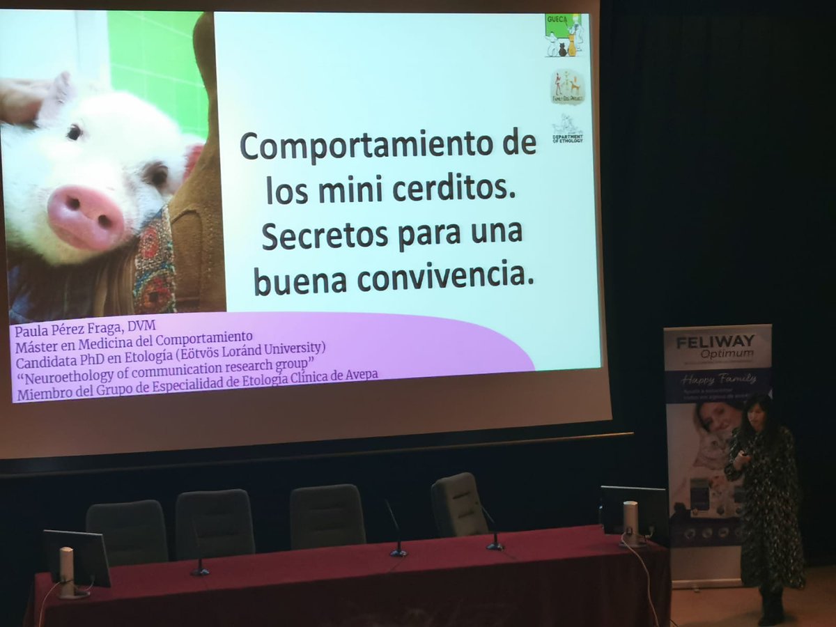 Paula_PeFraga's tweet photo. This is me talking about my dear lovely model species.
The great thing about this talk is that I gave it in my old university.
Lots of memories.
#phdlife #minipigs #behav #veterinary https://t.co/OWxkdvecvc