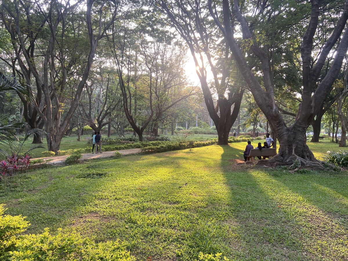 eeya0227's tweet photo. #Bengaluru this beauty ! https://t.co/k6bLNB5W6k