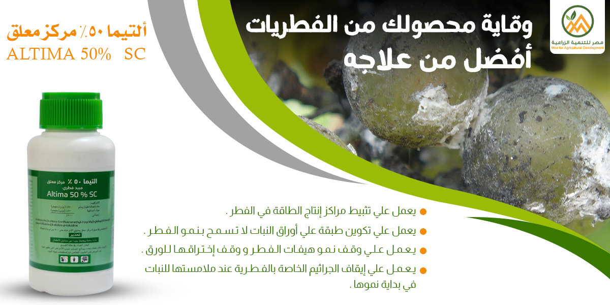 MisrDevelopment's tweet image. ألتيما
الماده الفعاله "فلوزينام 50%"
✅يمنع حدوث إصابة لكثير من الأمراض الفطرية من خلال التثبيط الفوري لحدوث مراحل الإصابة المختلفة بالقضاء علي الفطر في مراحل نموه وتطوره المختلفة .🌱
#مصر_للتنمية_الزراعية 
#لغة_النبات_لغتنا 
01144744811
01001018221