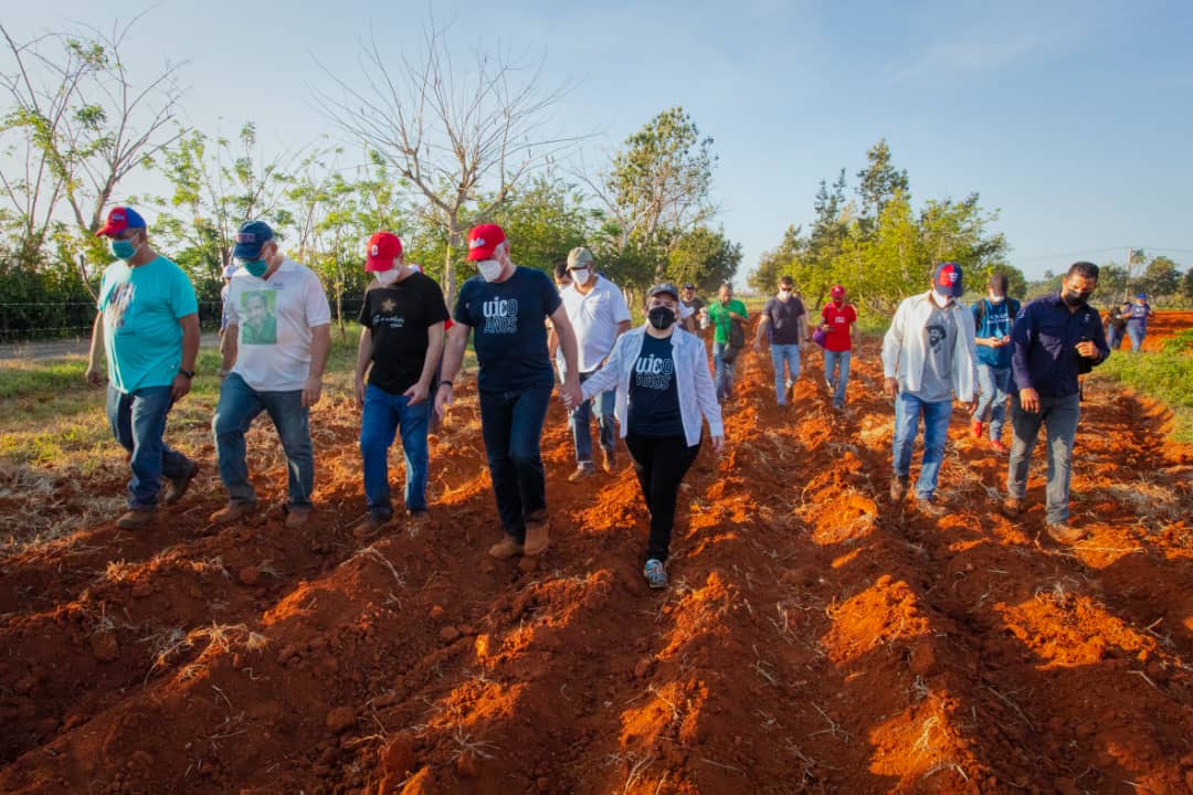 DiazCanelB's tweet photo. Después de sembrar la tierra y dialogar con la juventud, las energías se multiplican. Estamos celebrando dos cumpleaños: #60UJC y #OPJM61. Felicidades y gracias. Por la inspiración y por la alegría. Ser joven es una actitud. #CubaVive https://t.co/qdUTmd6OMo