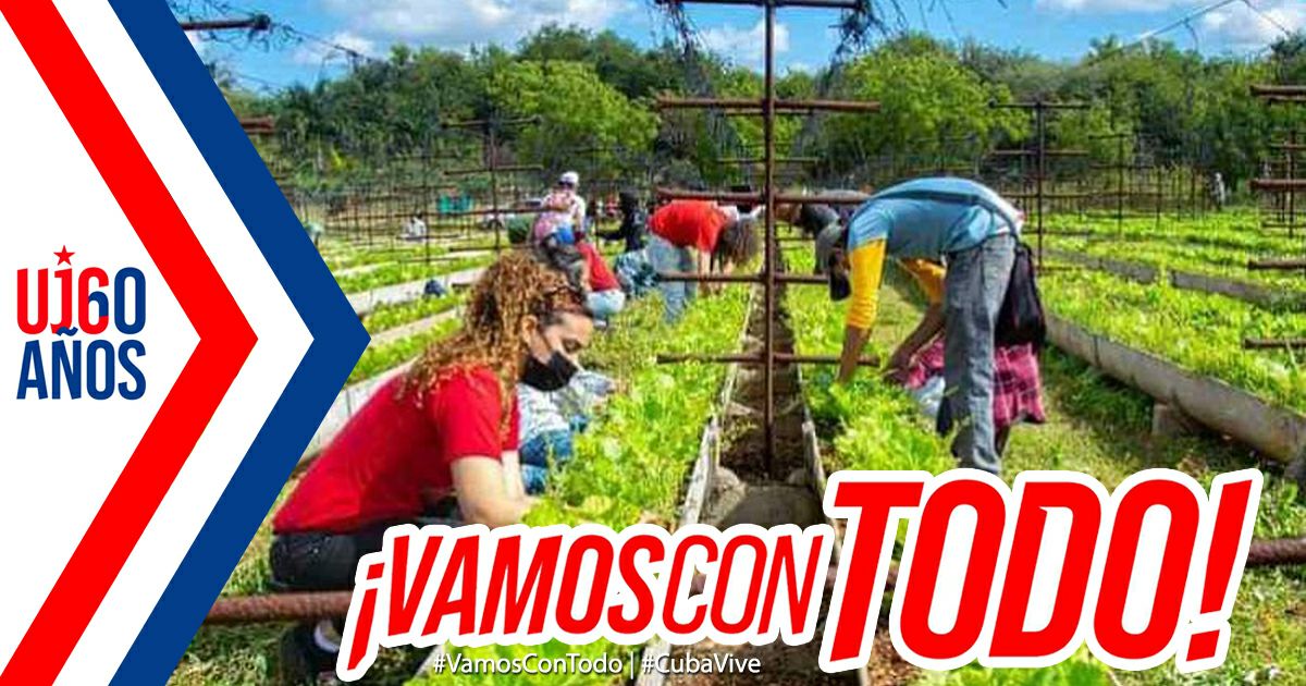 "(...) hay que tener temple para ser un Joven Comunista, hay que tener carácter para ser un Joven Comunista, hay que tener abnegación para ser un Joven Comunista (...)" #FidelPorSiempre

Con nuestros jóvenes comunistas #VamosConTodo en este #60UJC.
#Cuba🇨🇺