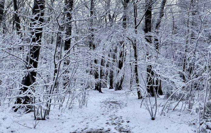 bencoates1's tweet photo. Four seasons in seven days: photos of the weather in the Netherlands this week https://t.co/tkoKFOnbto