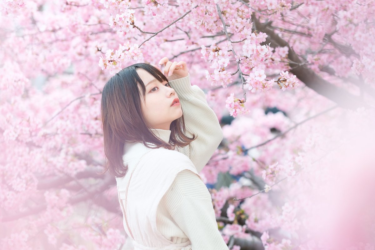 かるるく tweet media