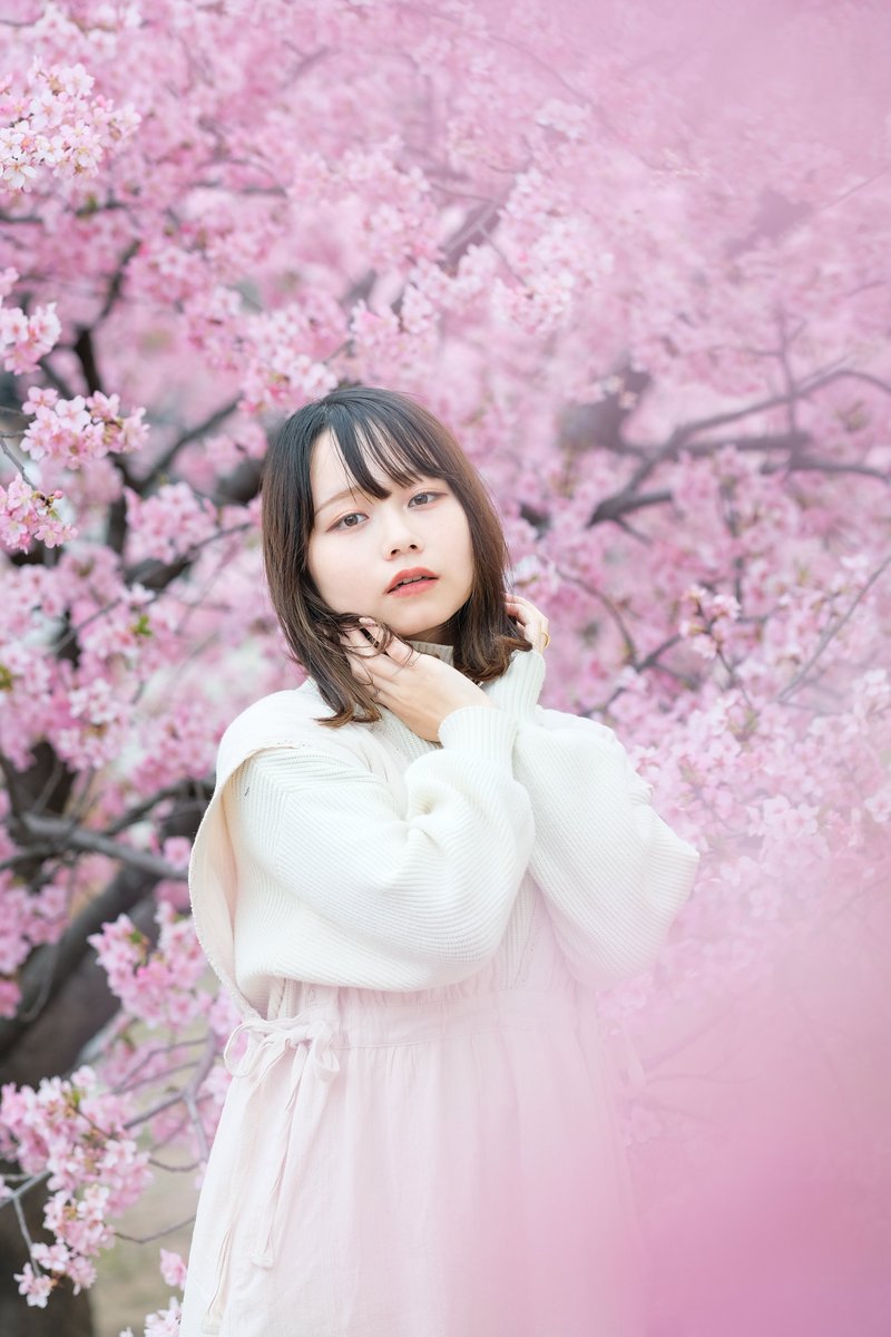 かるるく tweet media