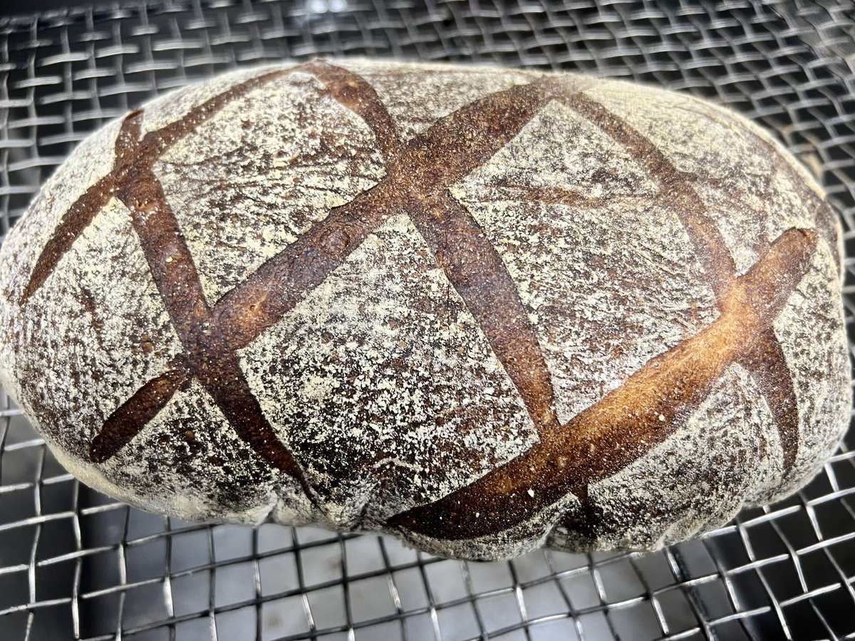 RandyCarollo's tweet photo. @AlexChancexxx I just made my first 2 loaves after a week of feeding! https://t.co/Ybj3yoWRSq