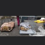 Photo by Animals1st (@Animals1st)