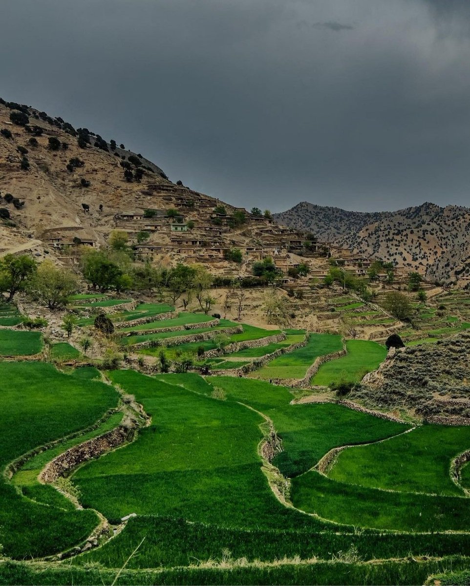 MurtazaStanikzi's tweet photo. Tora Bora Mountains, !توره بوره
Unseen Afghanistan 🇦🇫 ❤
#Countryfile #Village #nature #freshweather #life #dreams #hope #bleesingMonth #Ramadan
@spozhmey @Mariamistan @KhoshTaib @minasharif @notmadss @Sidra1Khan @Ferina07 @Faaro02 @Paktian5 https://t.co/aR2Qw0YRz8