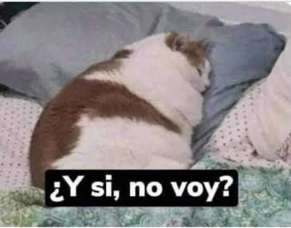 nderakoreami_'s tweet photo. Yo, cada vez que llueve https://t.co/OCRQgm7VZD