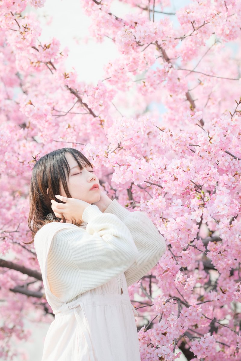 かるるく tweet media