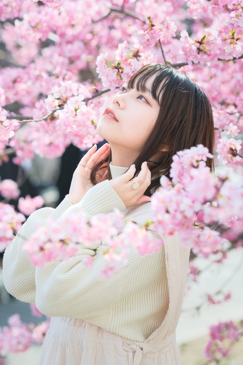 かるるく tweet media