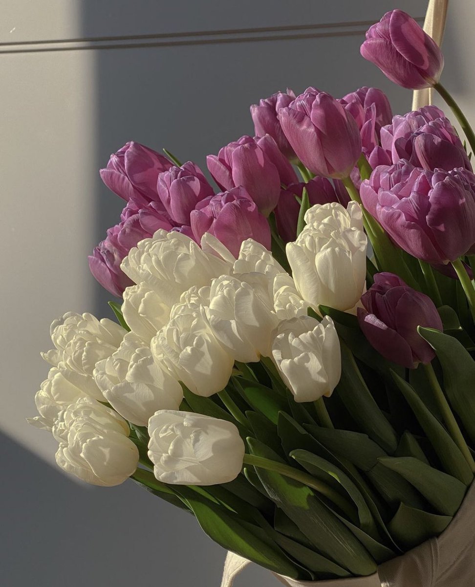 no, i don’t like roses