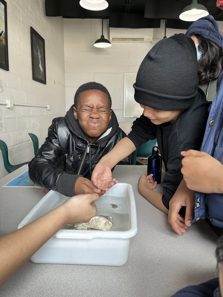 Mondays be like…. 

<a href="/McNasbys/">Annapolis Maritime Museum & Park</a> <a href="/AACountySchools/">AACPS</a> <a href="/Aacps_Science/">AACPS Office of Science</a>