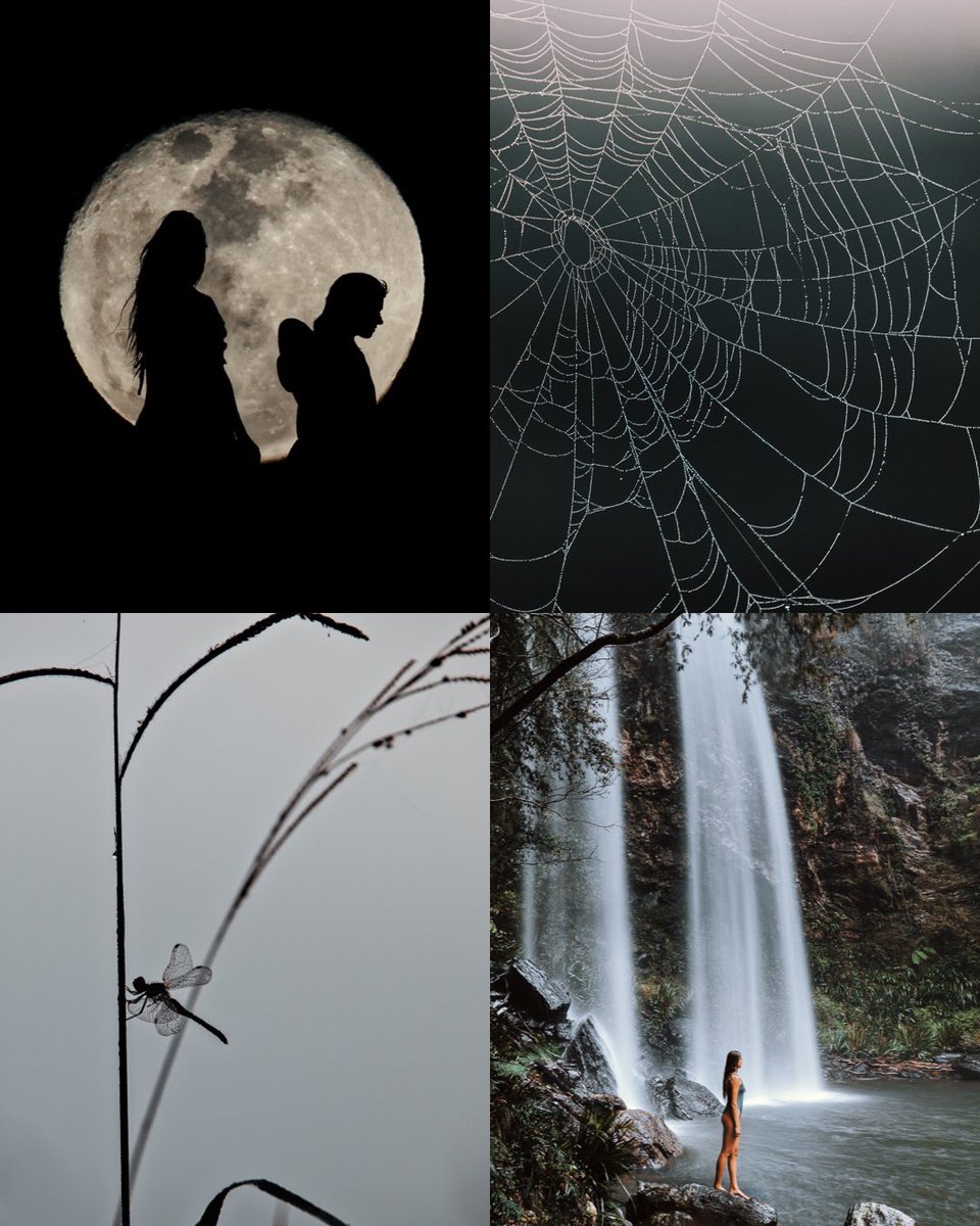 Moments, big and small ✨🌿 gm twitter