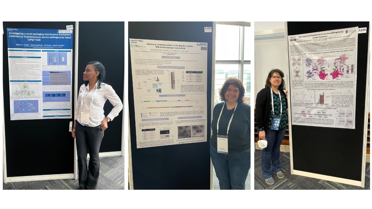 CBRB_Imperial's tweet image. Come and join us in the poster session this evening😊. You will be able to learn about mobile genetic elements in bacteria with @quiles_nuria, @Angeldoris2 &amp;amp; Laura Miguel-Romero from the @jrpenades lab! #SaPIs #Phages #microbio22 @MicrobioSoc