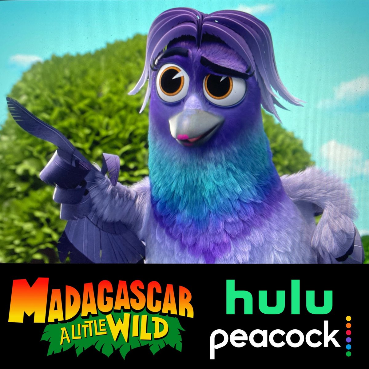 DeeRoscioli's tweet photo. Baby’s first voice over! I’m so excited to finally get to squawk from the rooftops that I’m apart of this awesome show! Meet “Ma” a very loving, birdega owning, overly concerned pigeon mom… you know, totally me 🤪 Catch me in Season 7 Epi 1 streaming NOW on @hulu and @peacockTV https://t.co/YviLoWvdQr