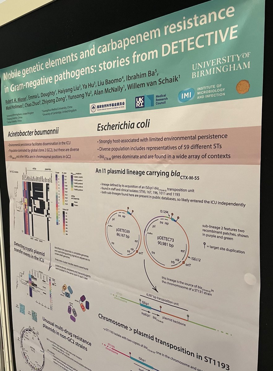Head to poster A267 at <a href="/MicrobioSoc/">Microbiology Society</a> #Microbio22 tonight and chat to <a href="/pRobM91/">Rob Moran</a> about the mobile genetic elements we've seen in DETECTIVE projects!