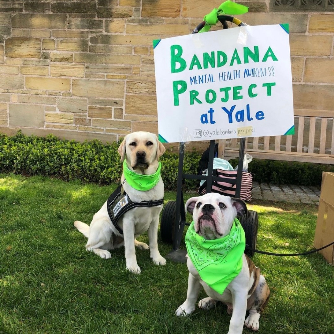 DwightHallYale's tweet photo. The Yale Student Mental Health Association (YSMHA) is a student organization on Yale’s campus that raises awareness about mental health issues in the Yale community and beyond, such as through The Bandana Project.
#MemberGroupMonday #ChangeHappensHere #dwighthall https://t.co/42r9dVRBEW