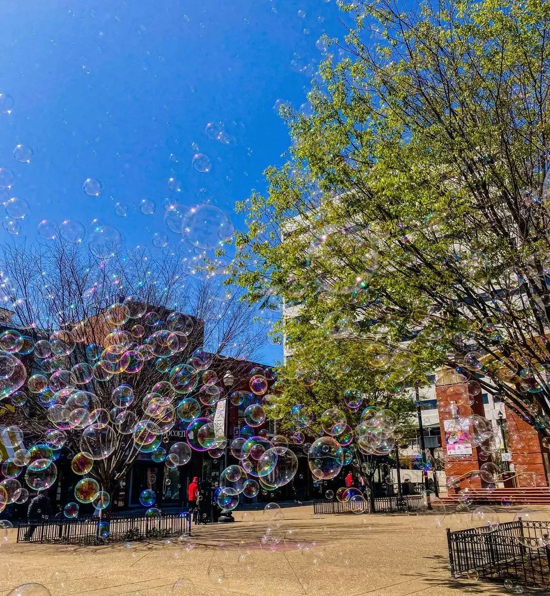 Bubbles, springtime, #MarketSquare, we love our city. 🌿😍 Great capture by <a href="/annawible/">ANNA WIBLE</a>! #lovedowntownknox