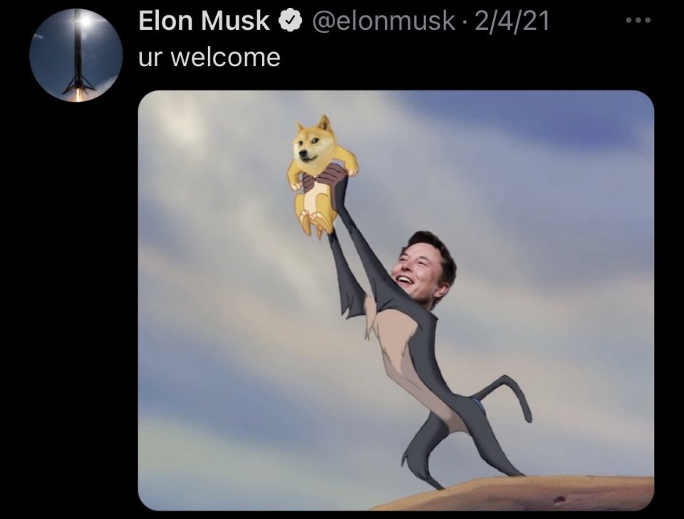 doge1moon_CEO's tweet photo. Moon coming for $DOGE 🔥🚀 @elonmusk https://t.co/2eBTMQYEFV