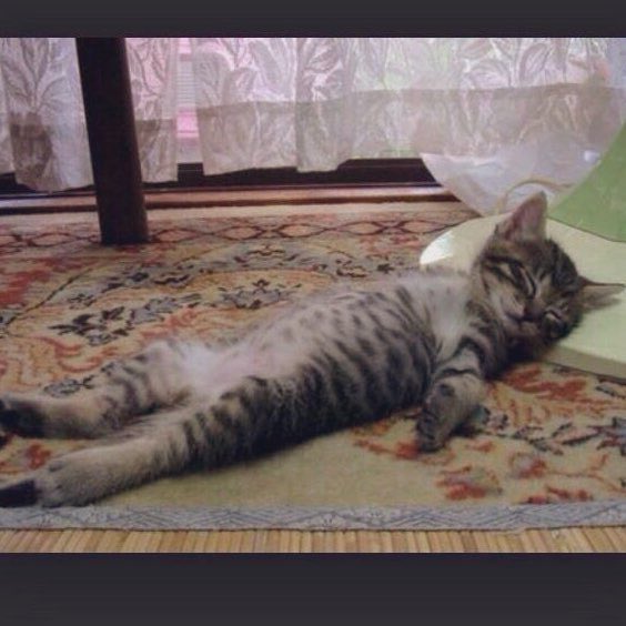 Aum Reminder💡 tweet media