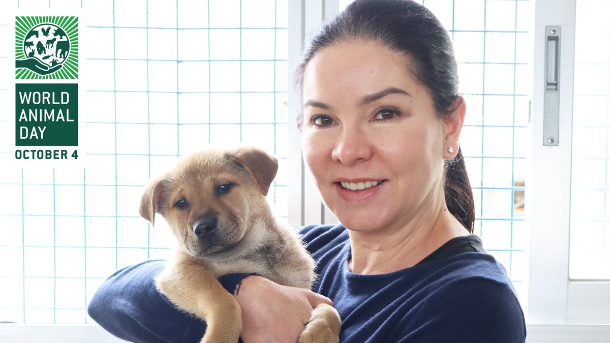 World Animal Day (@worldanimalday) on Twitter photo 🌏 Please join us in welcoming Fiona Cumming to our #WorldAnimalDay ambassador team!
Although <a href="/spcahk/">SPCA Hong Kong</a> itself has been involved for many years, Fiona has now taken over as the Executive Director. 🐕🐈
Read more about their wonderful work in Hong Kong:
worldanimalday.org.uk/ambassadors/vi… 🌏 Please join us in welcoming Fiona Cumming to our #WorldAnimalDay ambassador team!
Although <a href="/spcahk/">SPCA Hong Kong</a> itself has been involved for many years, Fiona has now taken over as the Executive Director. 🐕🐈
Read more about their wonderful work in Hong Kong:
worldanimalday.org.uk/ambassadors/vi…