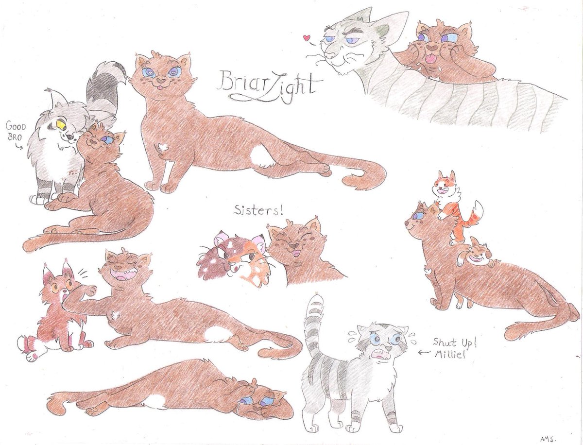 If you're not watching <a href="/fawnskip/">Moon</a> 's "Talking Cats" videos, really what are you doing with your life? lol Some fanart I made for Moonkitti's recent video on Briarlight, a cat I've wanted to draw for a very long time!
#briarlight #jayfeather #moonkitti #warriorcats