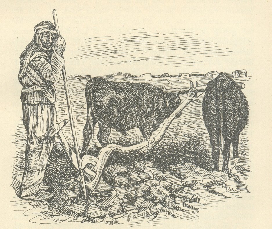 elhartiMA's tweet photo. Never read a more meaningful English #poem than this:
Ye rigid Ploughman, bear in mind
Your labour is for future hours:
Advance—spare not—nor look behind—
Plough deep and straight with all your powers.
It transcends time and place... We're all #ploughmen of some sort. https://t.co/Sqy4QQQBjg