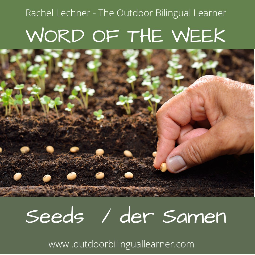 RachelL_OBL's tweet photo. Hallo 💚 Hello 💚

Es ist Montag!! So hier ist das Wort der Woche!!!

It is Monday!! So here is the word of the week!

#LanguageLearning
#bilingual #educational https://t.co/QIC4bsbk8r